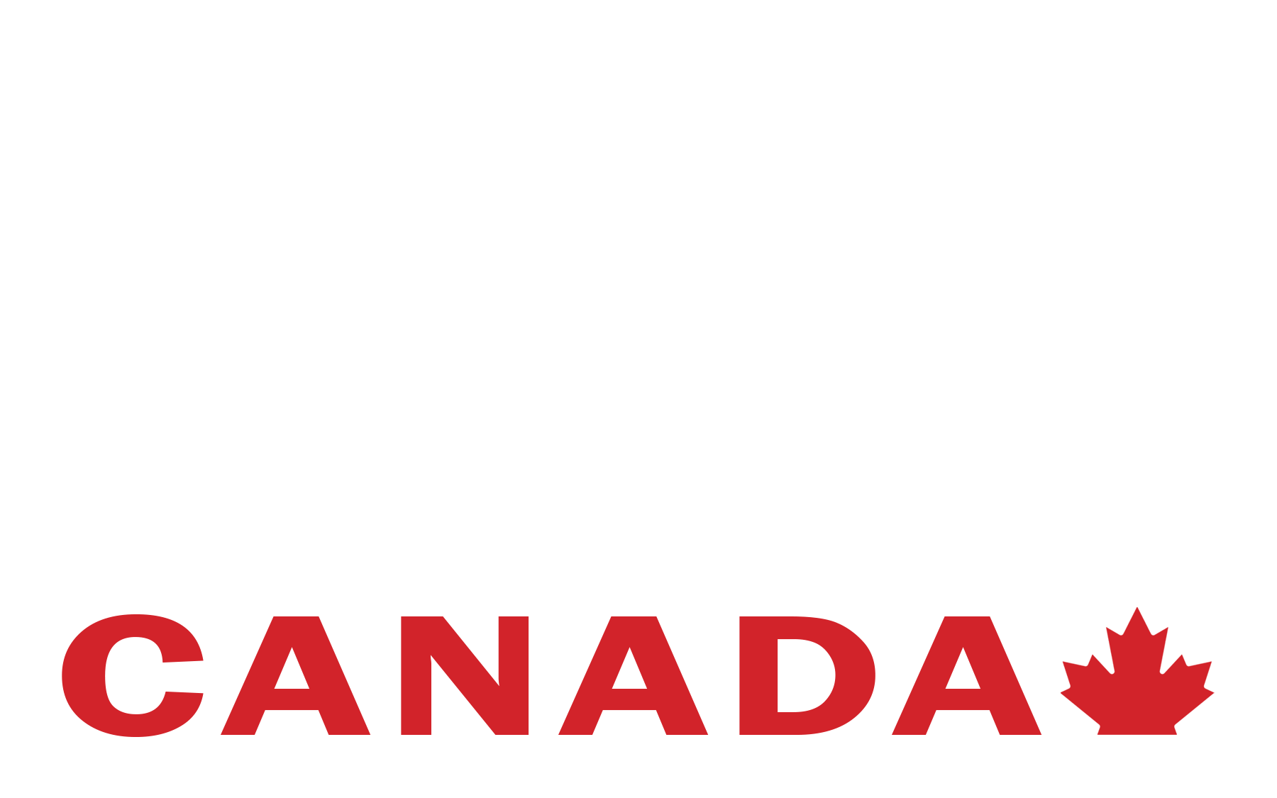 Sports Dorks